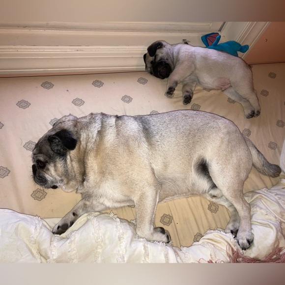 Meet your Posher, Lance - Picture 11 of 11